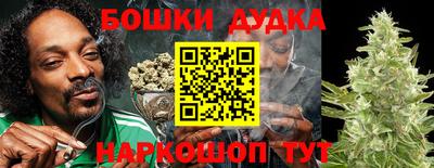мдпв Обнинск
