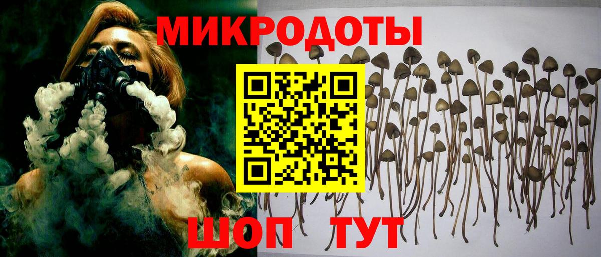 Галлюциногенные грибы мухоморы Приморско-Ахтарск